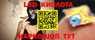 гидра Шебекино
