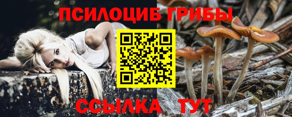Псилоцибиновые грибы Psilocybine cubensis Кропоткин