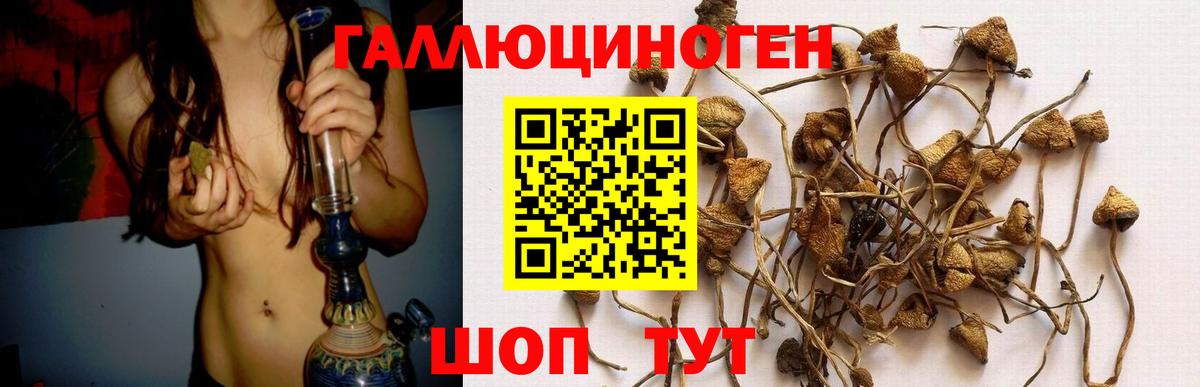 Кропоткин  Галлюциногенные грибы MAGIC MUSHROOMS  Вход с VPN 